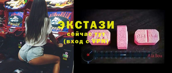 мдпв Богородск
