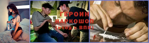 крисы Богородицк