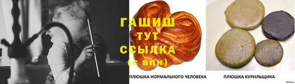 крисы Богородицк