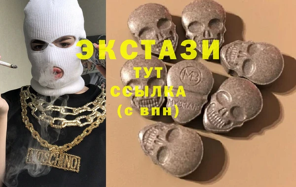 мдпв Богородск