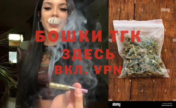 крисы Богородицк