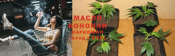 крисы Богородицк