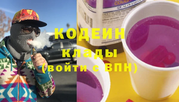 крисы Богородицк