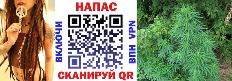 Каннабис Amnesia  Навашино 